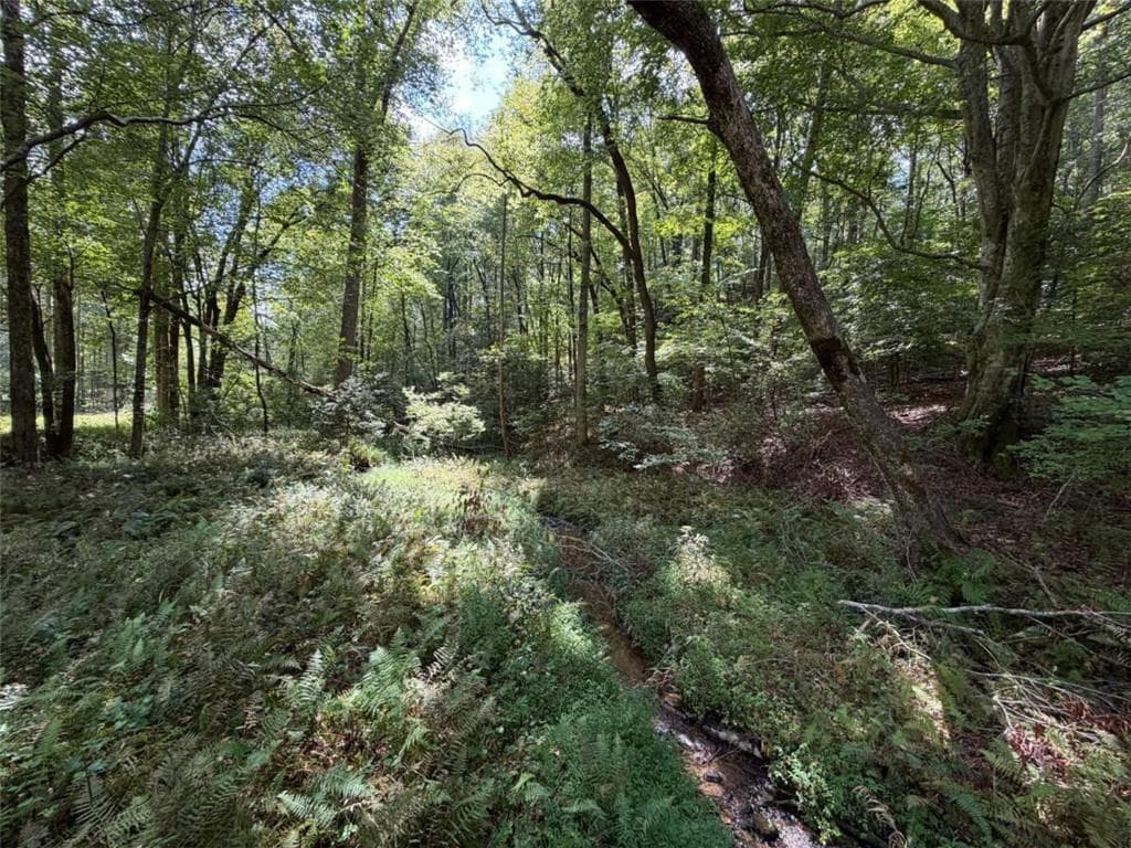 unimproved land under contract at 6.13Ac Lucius Road, Cherry Log, GA 30522 — photo 4
