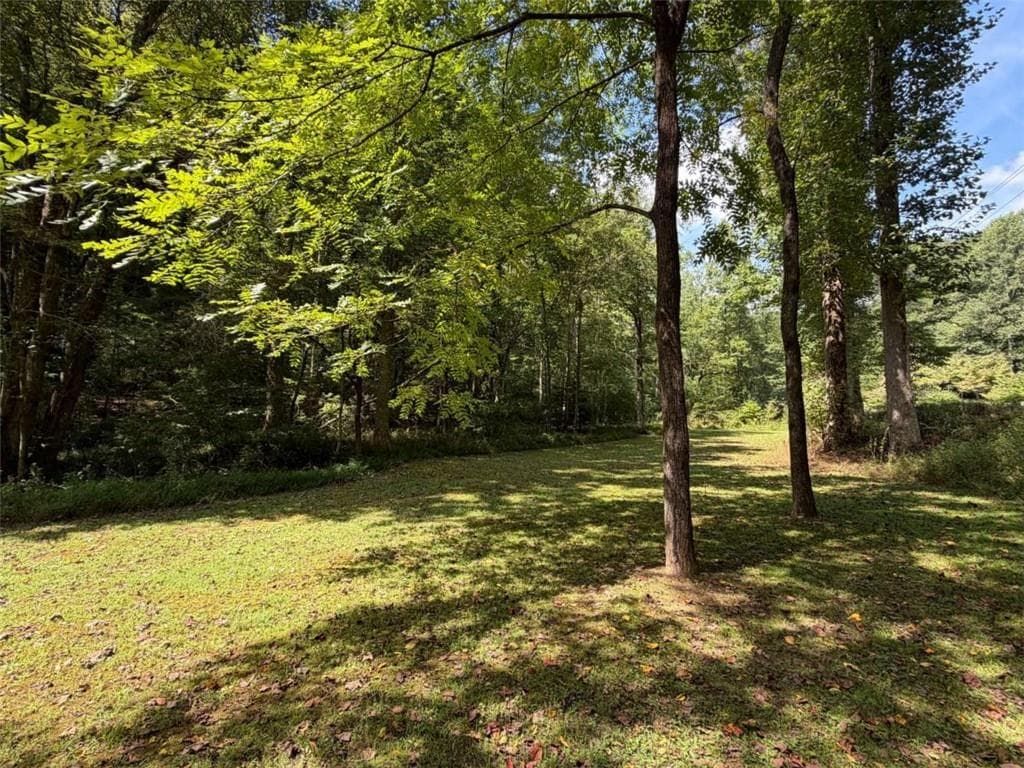 unimproved land under contract at 6.13Ac Lucius Road, Cherry Log, GA 30522 — photo 5