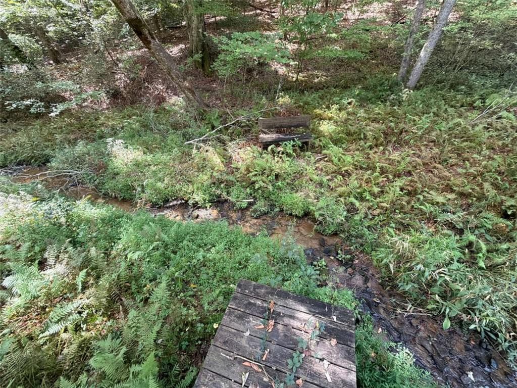 unimproved land under contract at 6.13Ac Lucius Road, Cherry Log, GA 30522 — photo 6