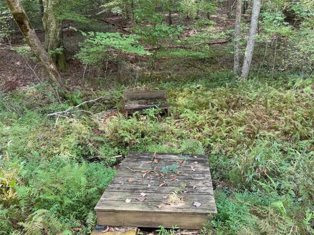 unimproved land under contract at 6.13Ac Lucius Road, Cherry Log, GA 30522 — photo 8