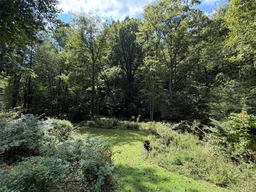 unimproved land under contract at 6.13Ac Lucius Road, Cherry Log, GA 30522 — photo 9