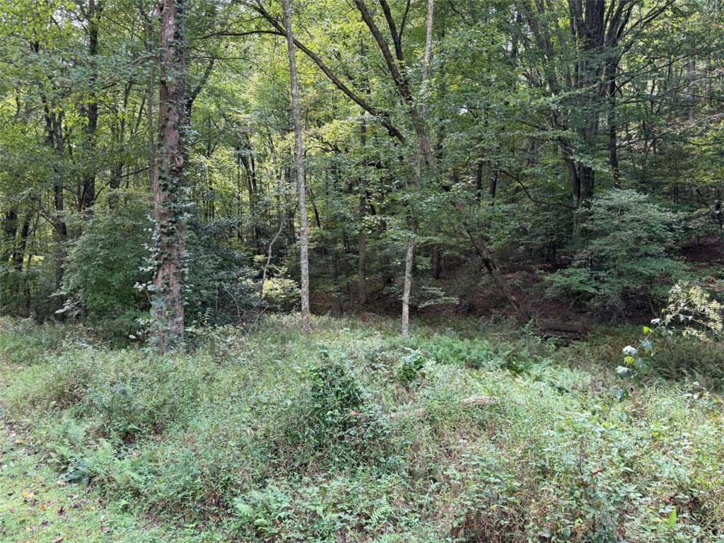 unimproved land under contract at 6.13Ac Lucius Road, Cherry Log, GA 30522 — photo 10