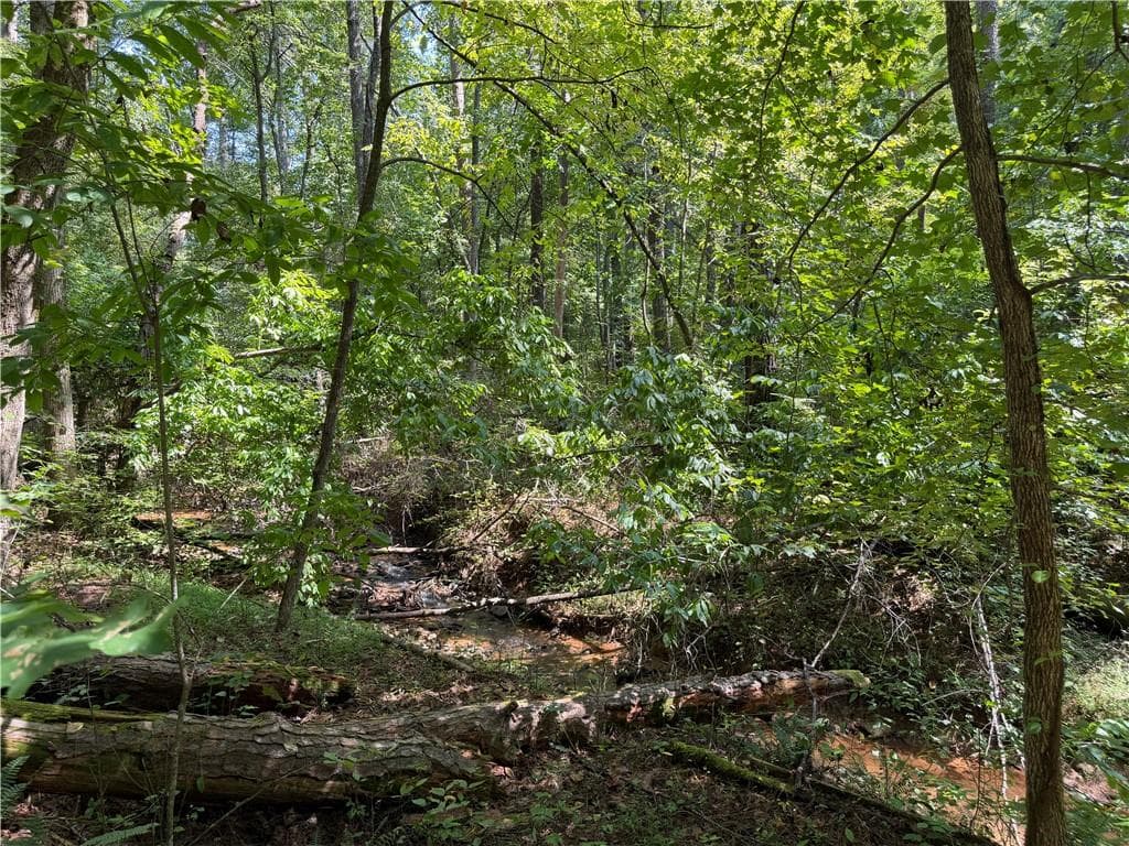 unimproved land for sale at LT 32 Mission Hill Road, Ellijay, GA 30540 — photo 1 of 13