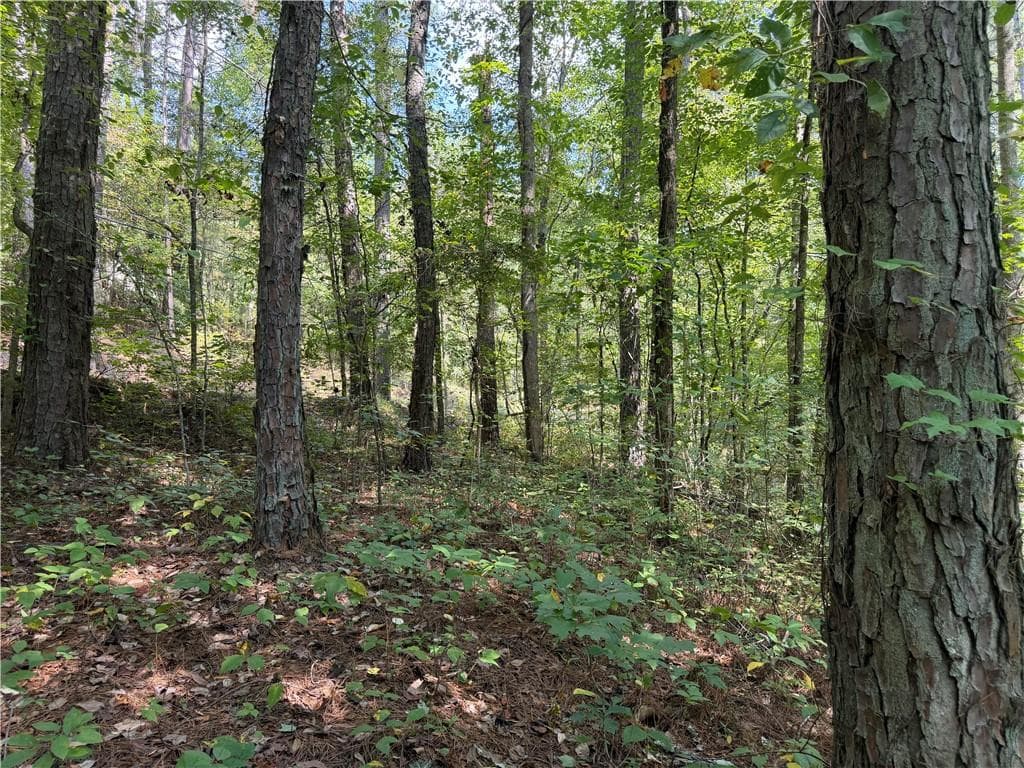 unimproved land for sale at LT 32 Mission Hill Road, Ellijay, GA 30540 — photo 2