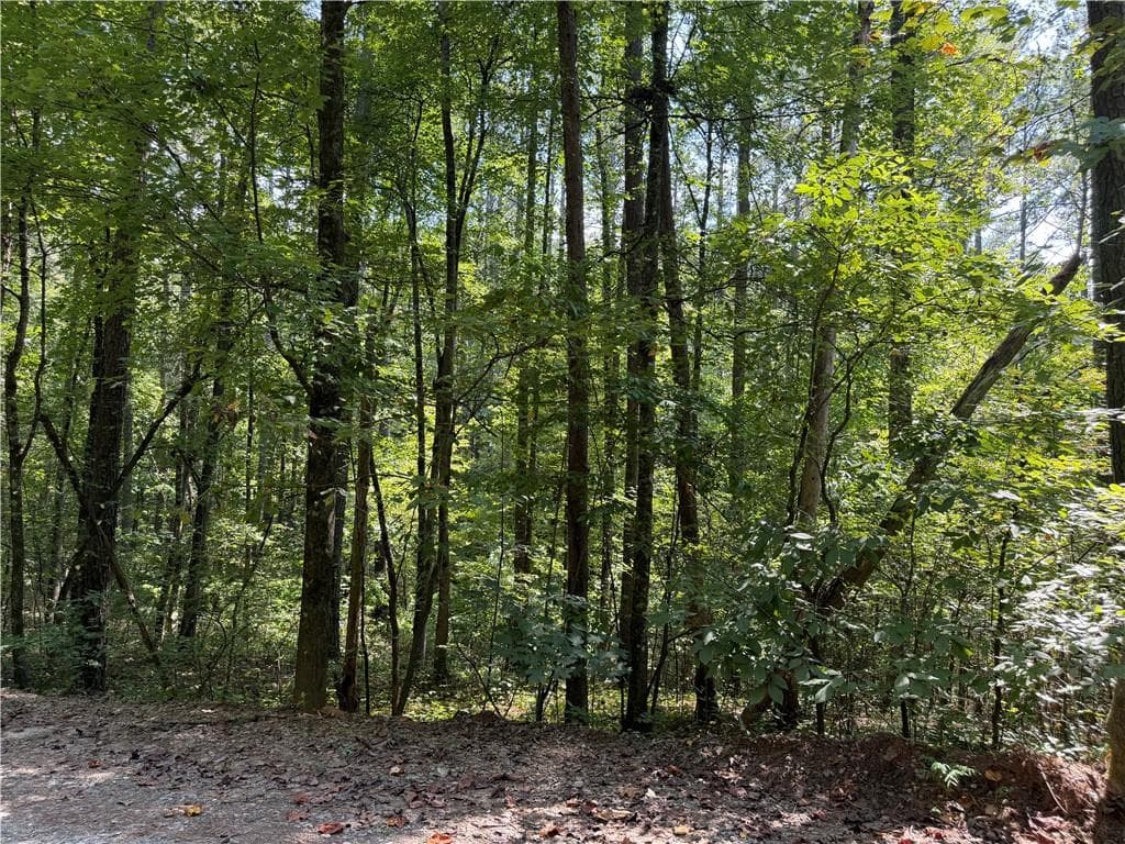 unimproved land for sale at LT 32 Mission Hill Road, Ellijay, GA 30540 — photo 3