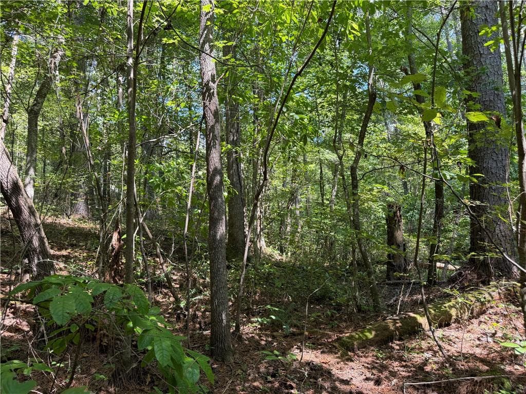 unimproved land for sale at LT 32 Mission Hill Road, Ellijay, GA 30540 — photo 4