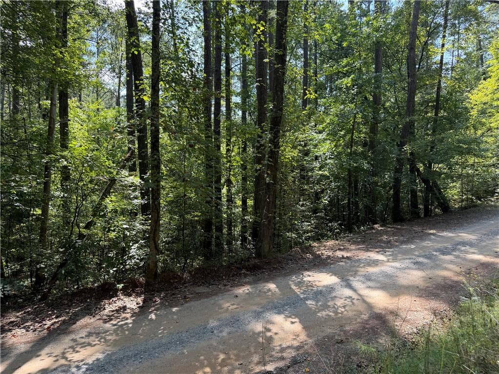 unimproved land for sale at LT 32 Mission Hill Road, Ellijay, GA 30540 — photo 5