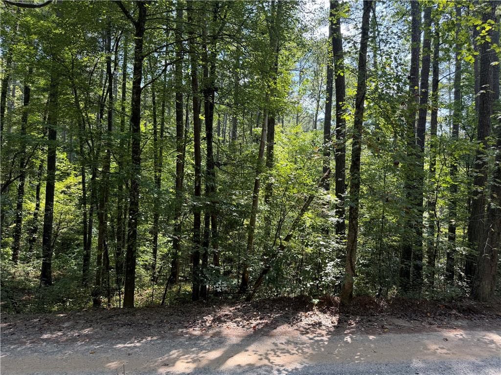 unimproved land for sale at LT 32 Mission Hill Road, Ellijay, GA 30540 — photo 6