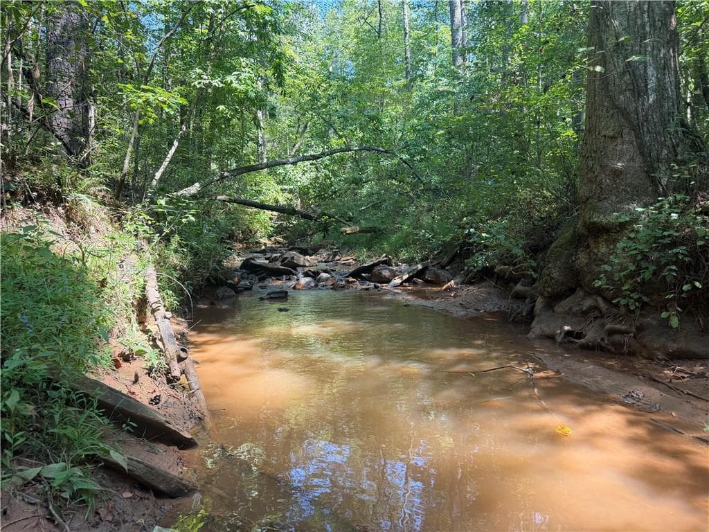 unimproved land for sale at LT 32 Mission Hill Road, Ellijay, GA 30540 — photo 7