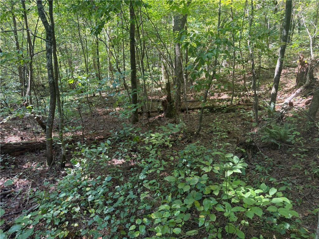 unimproved land for sale at LT 32 Mission Hill Road, Ellijay, GA 30540 — photo 9