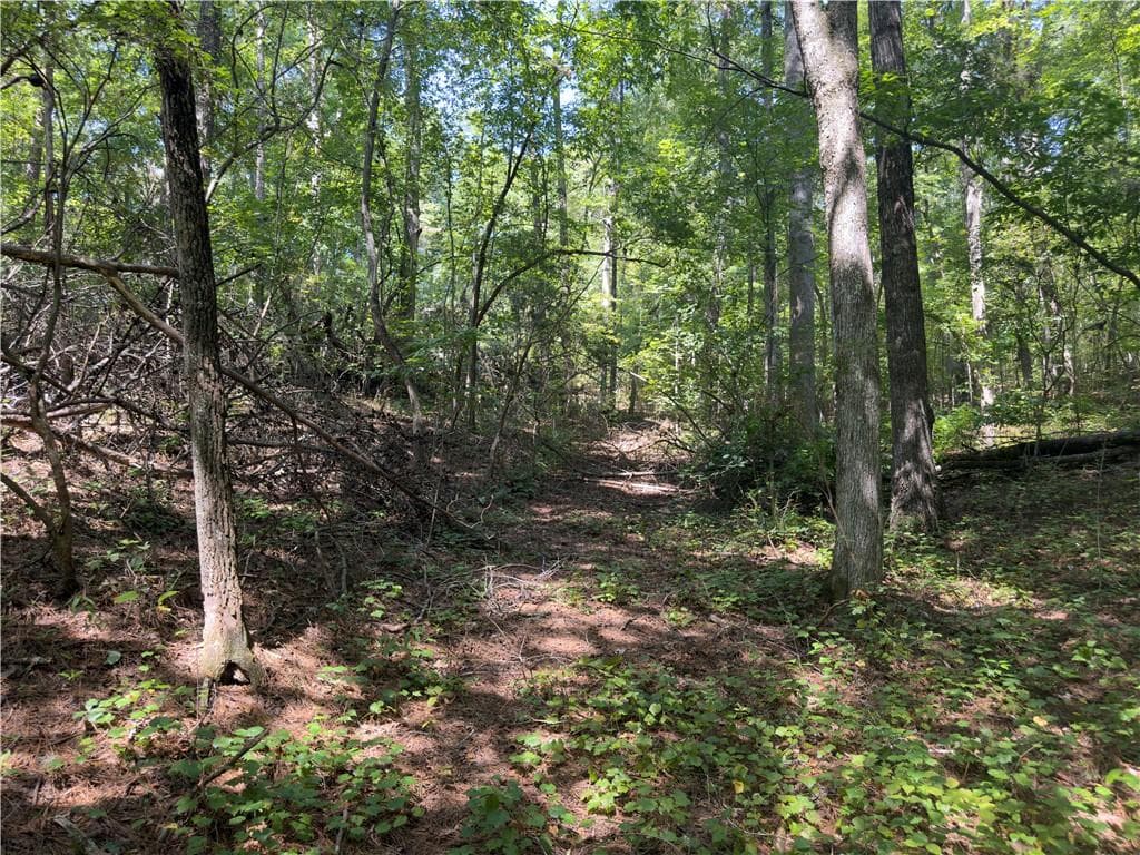unimproved land for sale at LT 32 Mission Hill Road, Ellijay, GA 30540 — photo 10