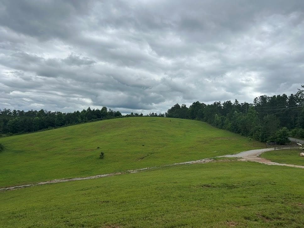 3 bedroom, 2 bathroom, 2,500 sq ft single family residence for sale at 240 Victory Dashboard Road, Bowdon, GA 30108 — photo 5