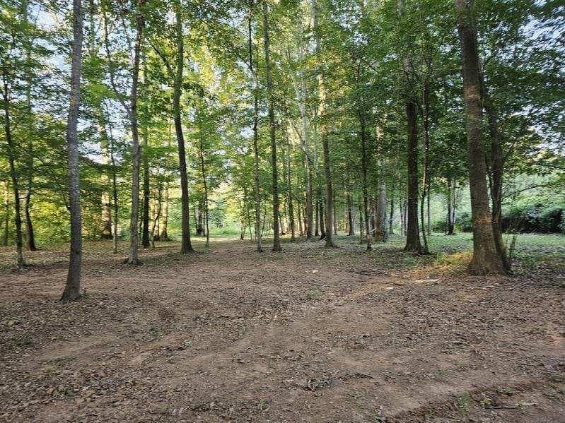 3 bedroom, 2 bathroom, 2,500 sq ft single family residence for sale at 240 Victory Dashboard Road, Bowdon, GA 30108 — photo 7