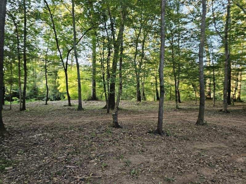 3 bedroom, 2 bathroom, 2,500 sq ft single family residence for sale at 240 Victory Dashboard Road, Bowdon, GA 30108 — photo 8