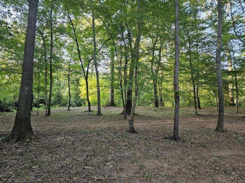 3 bedroom, 2 bathroom, 2,500 sq ft single family residence for sale at 240 Victory Dashboard Road, Bowdon, GA 30108 — photo 9
