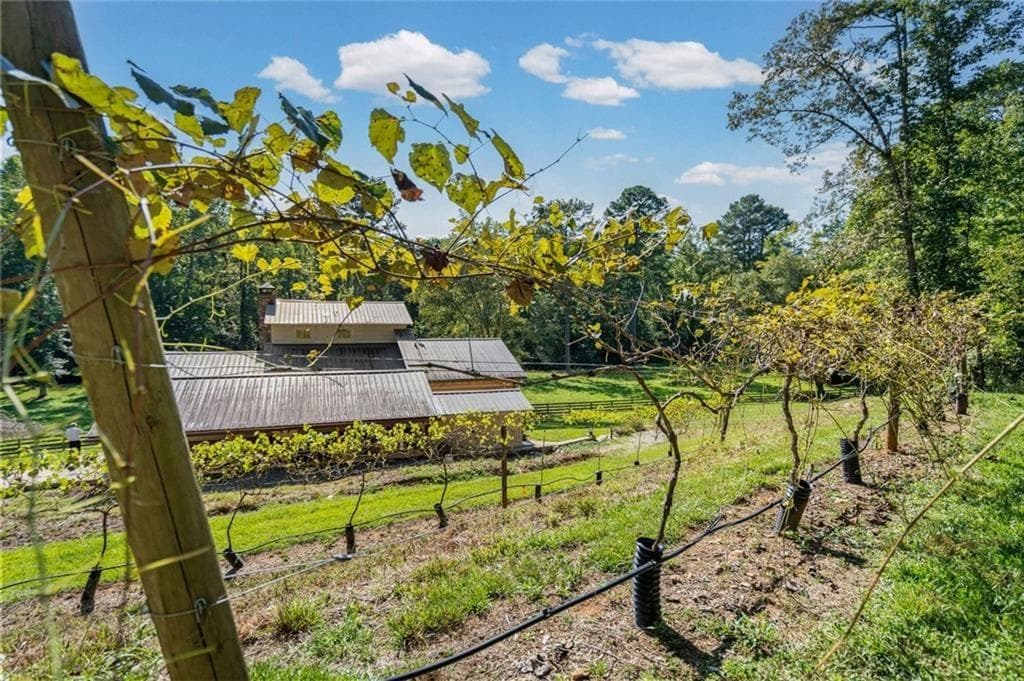 4 bedroom, 3 bathroom, 2,888 sq ft single family residence for sale at 25 Clayton Chester Road, Dawsonville, GA 30534 — photo 4