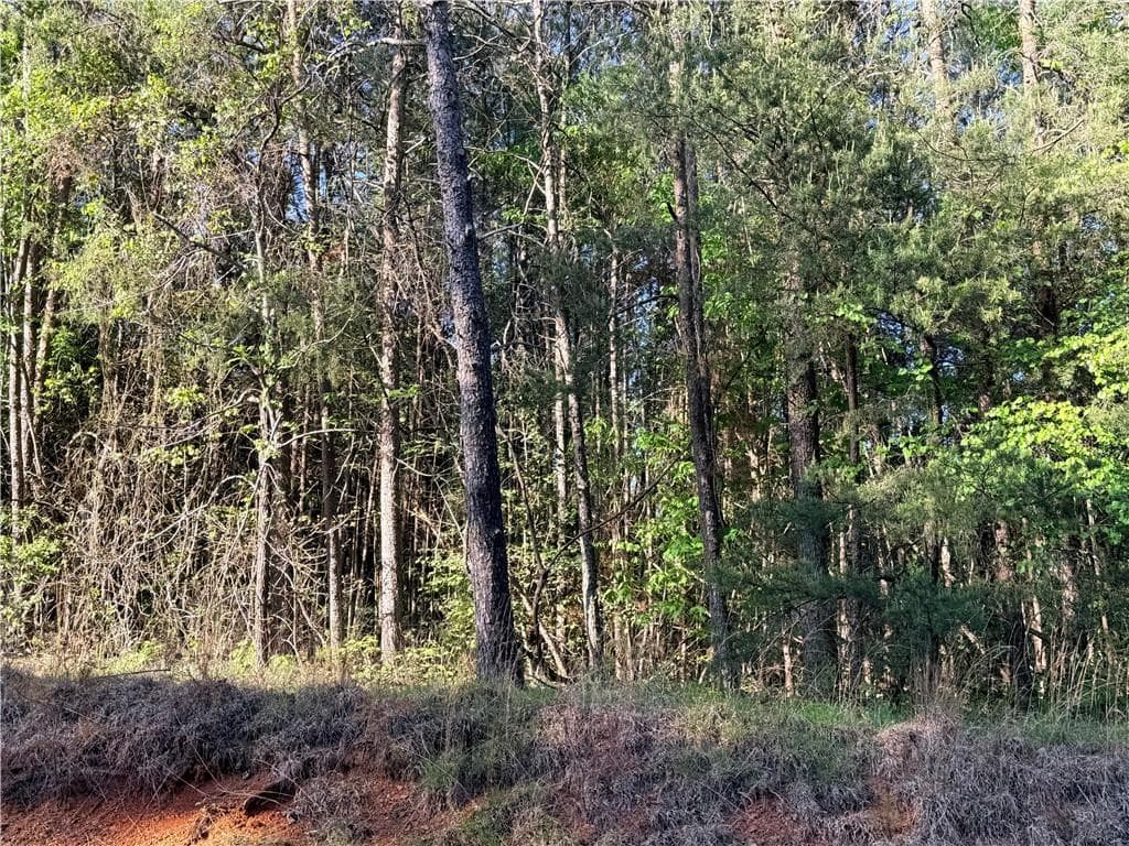 single family residence for sale at LOT 7A Pea Ridge Road, Ball Ground, GA 30107 — photo 4