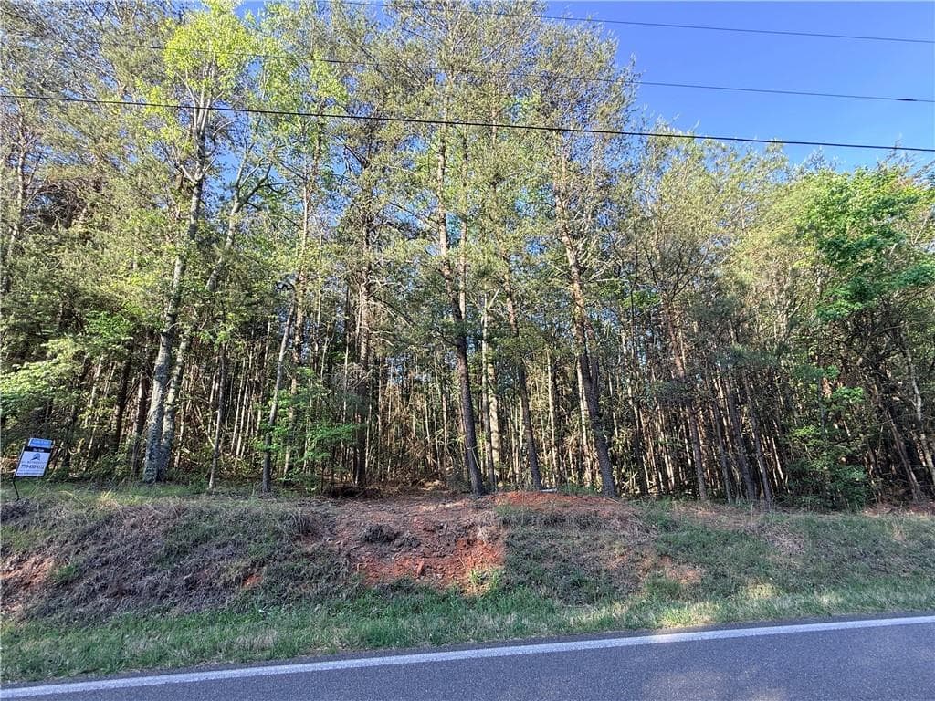 single family residence for sale at LOT 7A Pea Ridge Road, Ball Ground, GA 30107 — photo 5