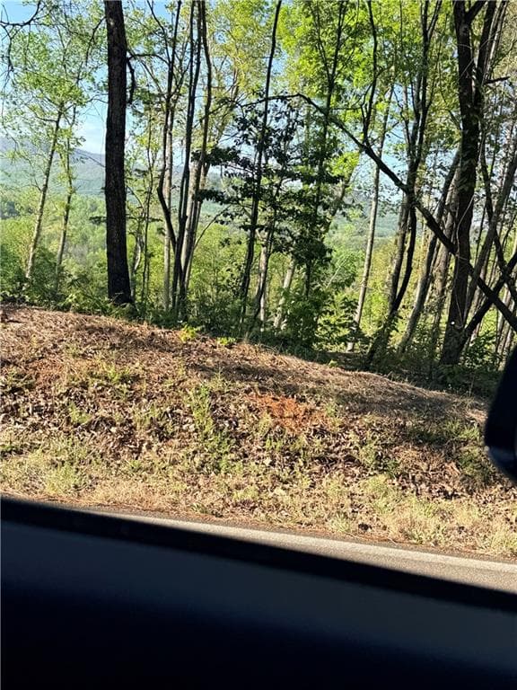 single family residence for sale at LOT 7A Pea Ridge Road, Ball Ground, GA 30107 — photo 6