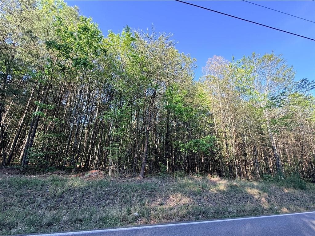 single family residence for sale at LOT 7A Pea Ridge Road, Ball Ground, GA 30107 — photo 7