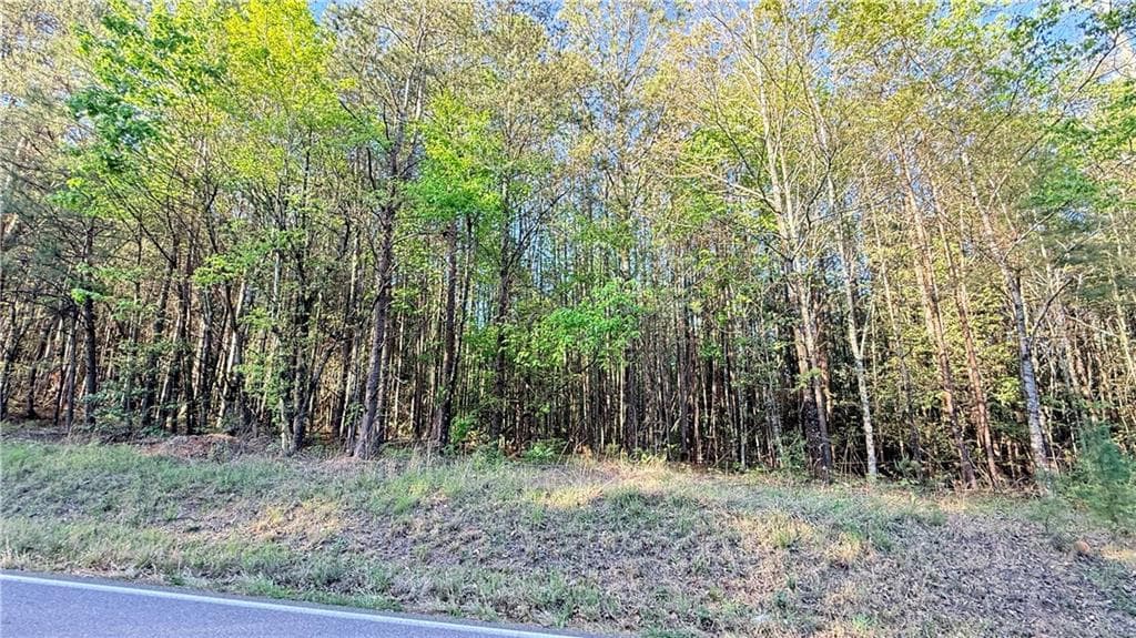 single family residence for sale at LOT 7A Pea Ridge Road, Ball Ground, GA 30107 — photo 8