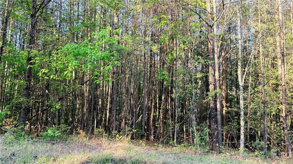 single family residence for sale at LOT 7A Pea Ridge Road, Ball Ground, GA 30107 — photo 9