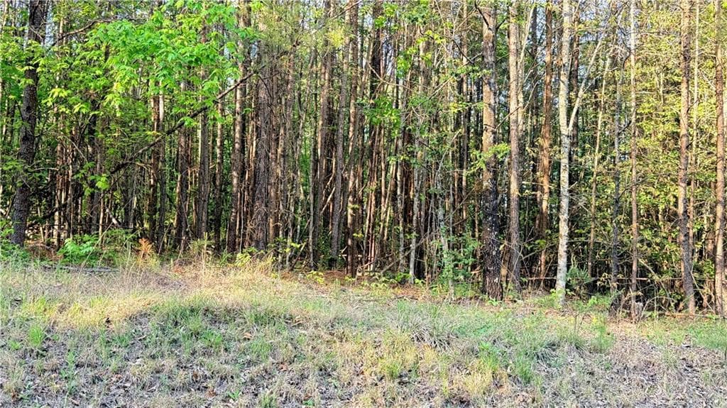 single family residence for sale at LOT 7A Pea Ridge Road, Ball Ground, GA 30107 — photo 10