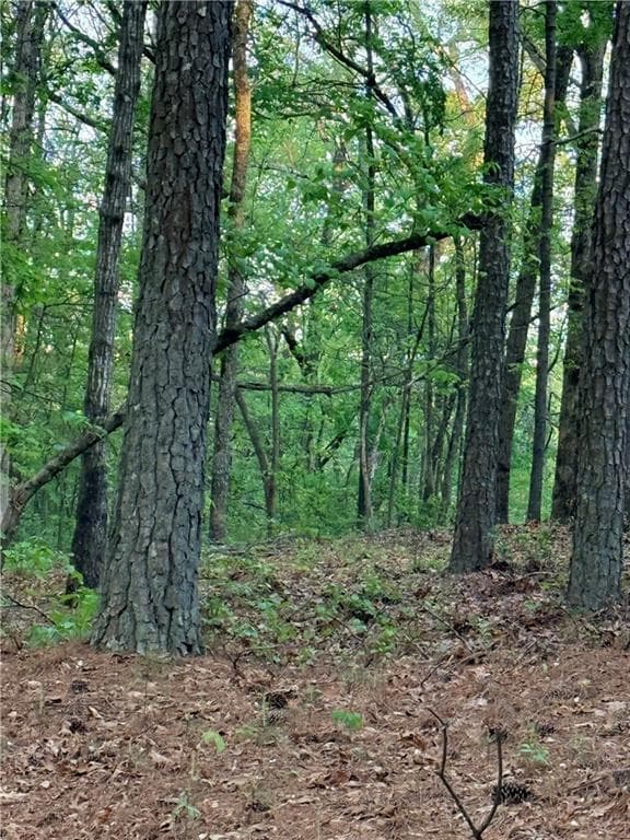 single family residence for sale at LOT 7B PEA RIDGE Road, Marble Hill, GA 30148 — photo 2