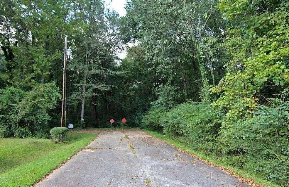single family residence for sale at 0 Freeman Drive, Stockbridge, GA 30281 — photo 6
