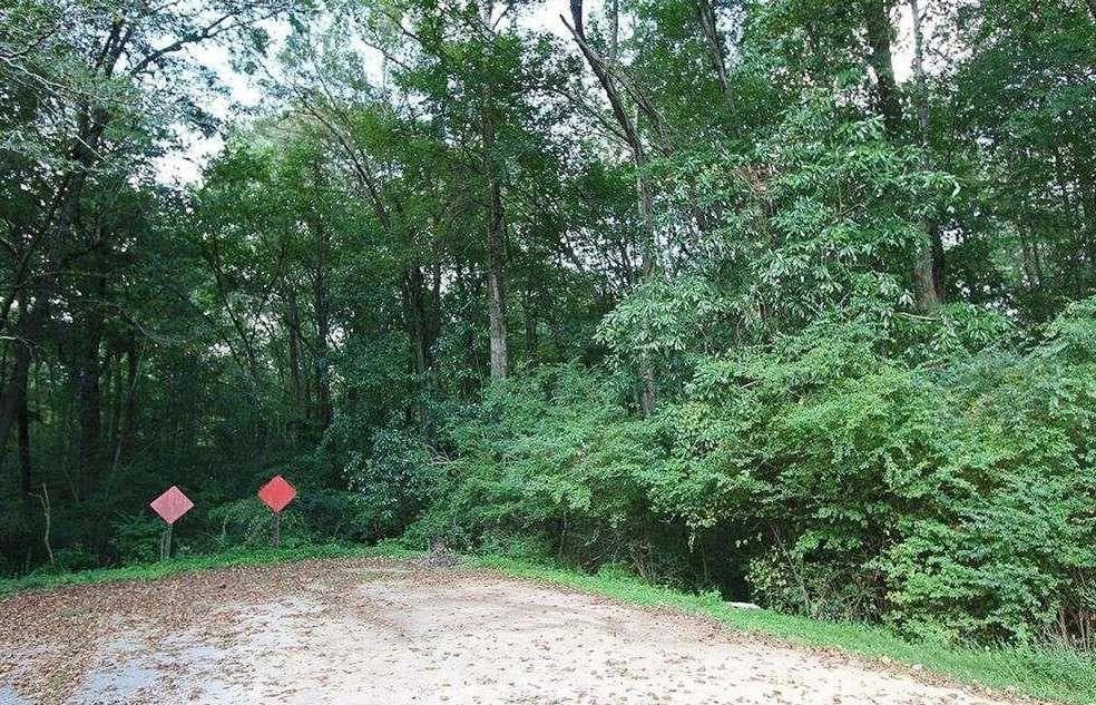 single family residence for sale at 0 Freeman Drive, Stockbridge, GA 30281 — photo 7