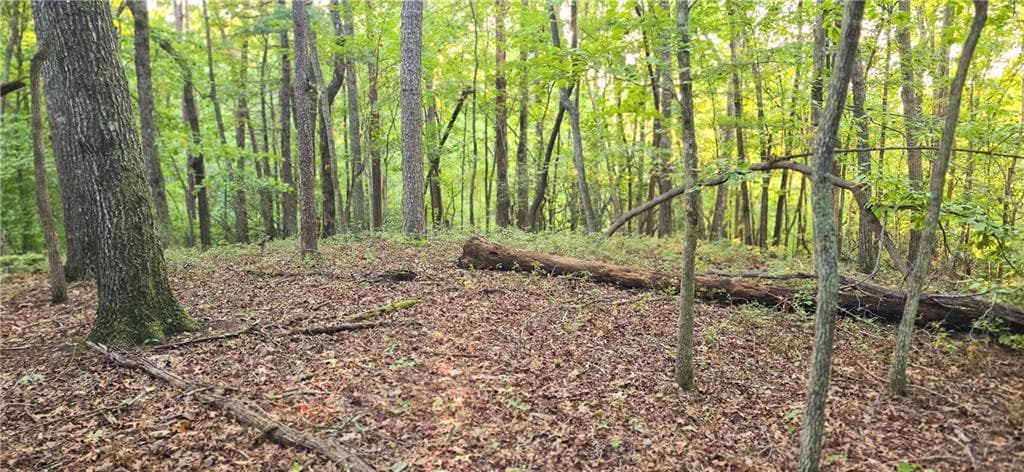 other for sale at 0 Seye Wailo Trail, Clarkesville, GA 30523