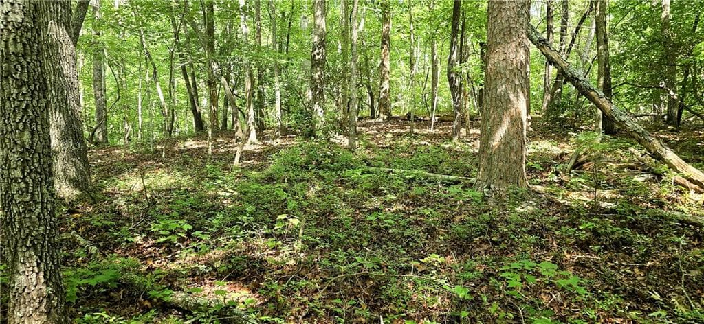 other for sale at 0 Seye Wailo Trail, Clarkesville, GA 30523 — photo 2