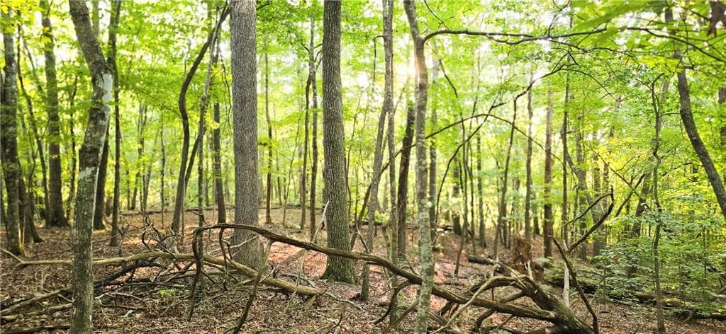 other for sale at 0 Seye Wailo Trail, Clarkesville, GA 30523 — photo 7