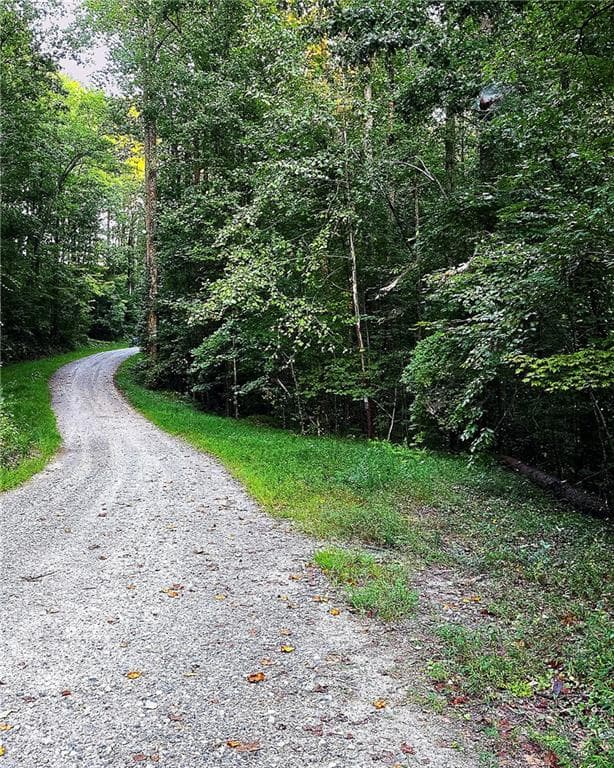 other for sale at 0 Seye Wailo Trail, Clarkesville, GA 30523 — photo 8