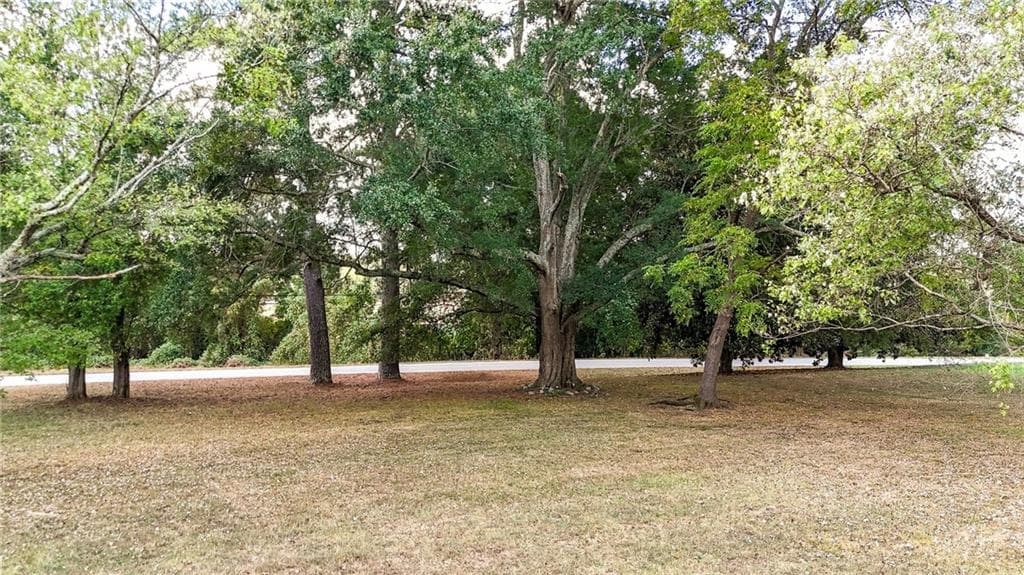 unimproved land for sale at 0 Carlton Drive, Rockmart, GA 30153 — photo 4