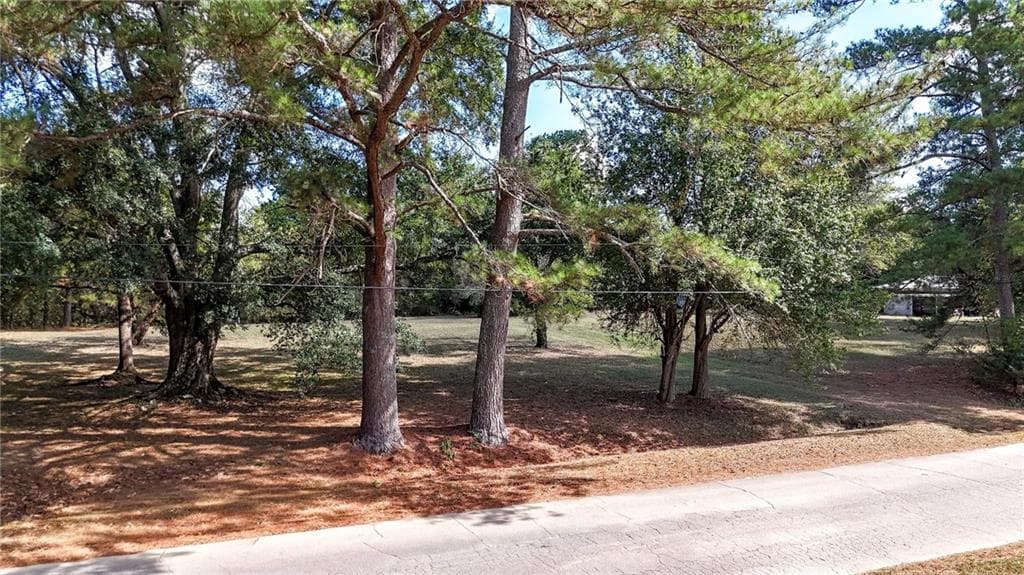 unimproved land for sale at 0 Carlton Drive, Rockmart, GA 30153 — photo 8