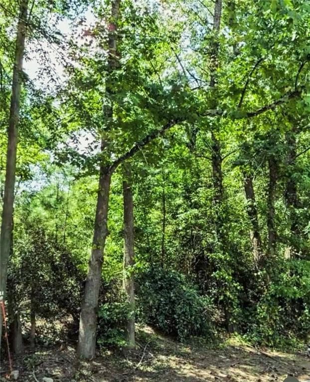 multi family for sale at 3808 Martin Luther King Jr Drive, Atlanta, GA 30331 — photo 5