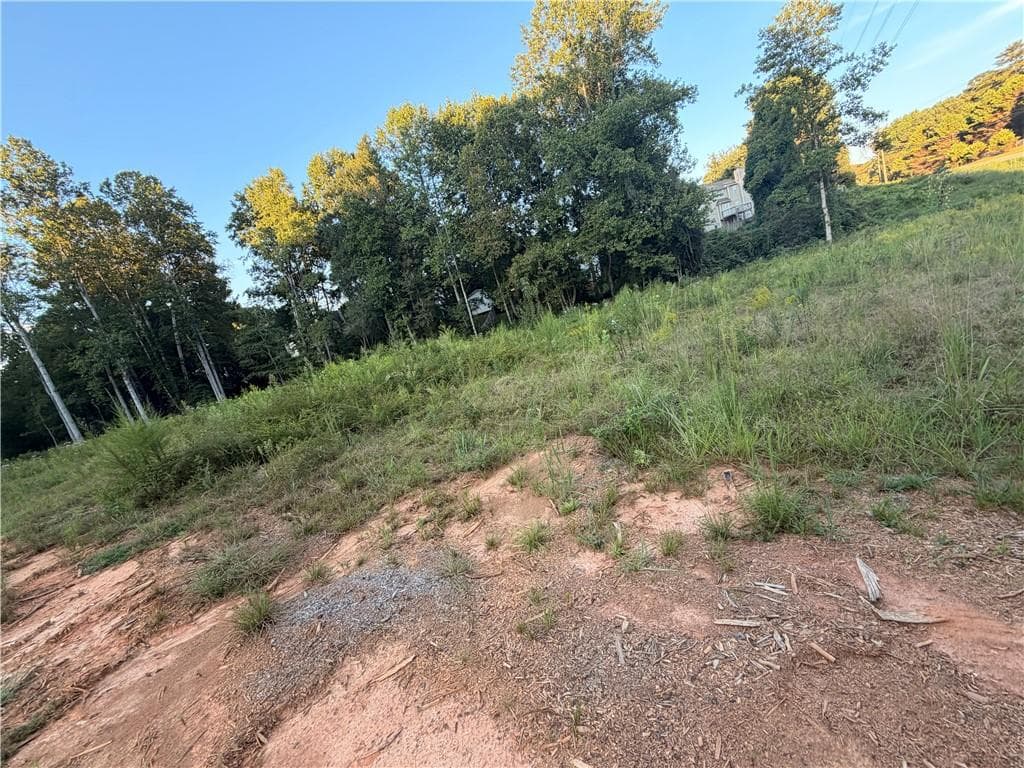 unimproved land for sale at 1885 Due West Road, Dallas, GA 30157 — photo 2