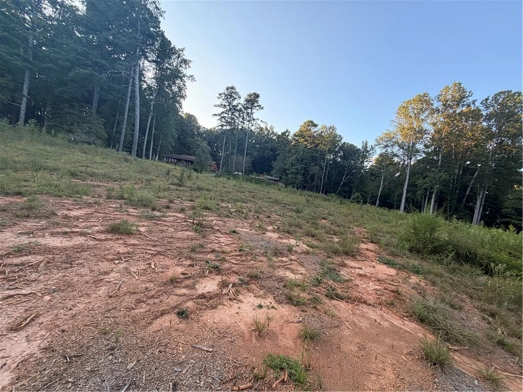 unimproved land for sale at 1885 Due West Road, Dallas, GA 30157 — photo 3