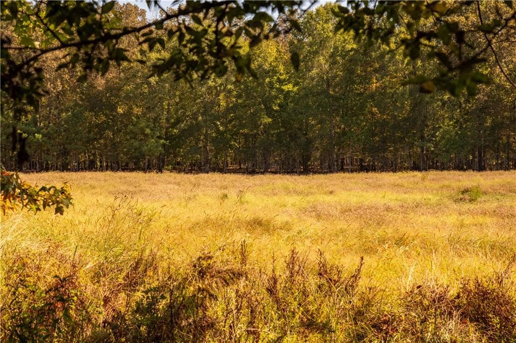 unimproved land for sale at 0 Livingston Rd SW, Rome, GA 30161
