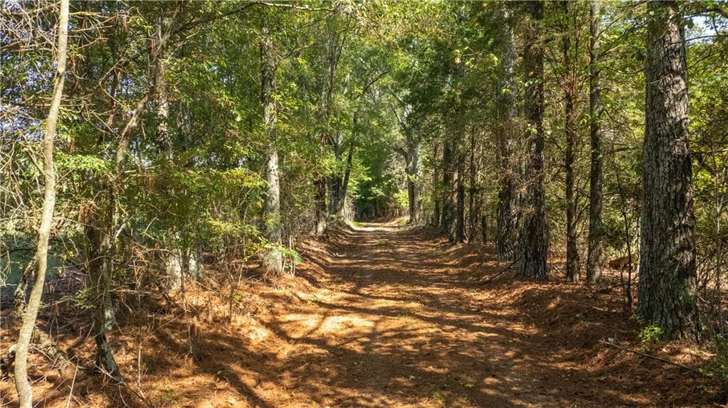 unimproved land for sale at 0 Livingston Rd SW, Rome, GA 30161 — photo 2