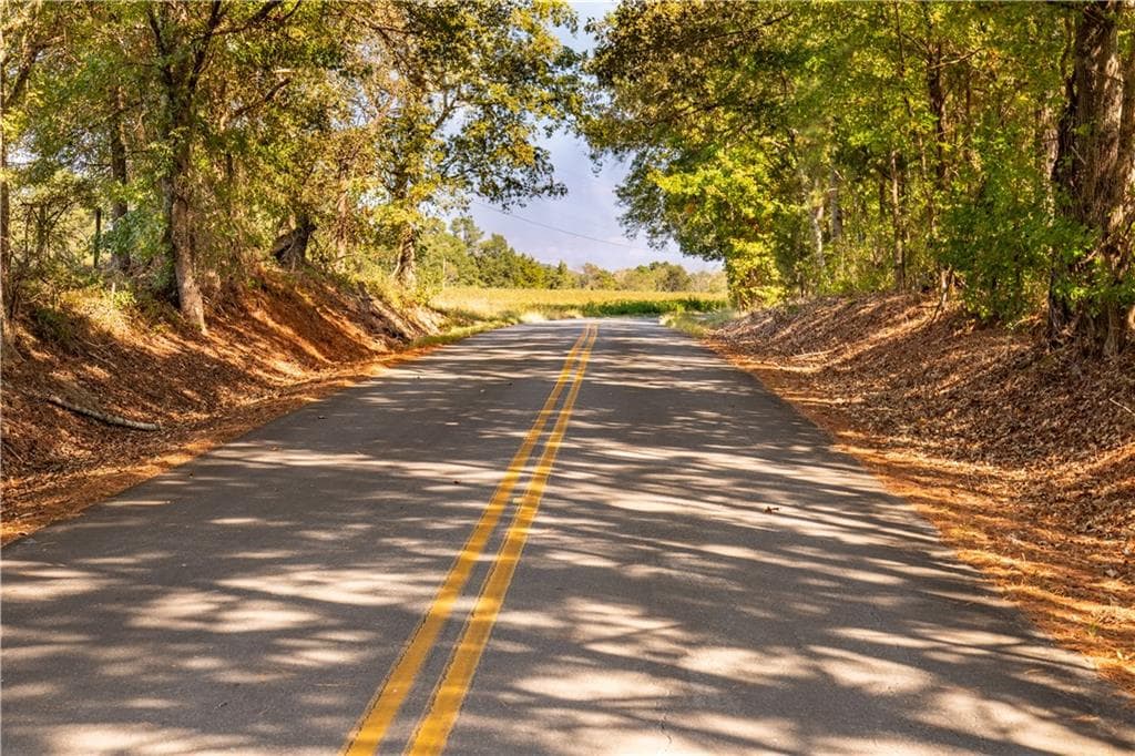 unimproved land for sale at 0 Livingston Rd SW, Rome, GA 30161 — photo 3