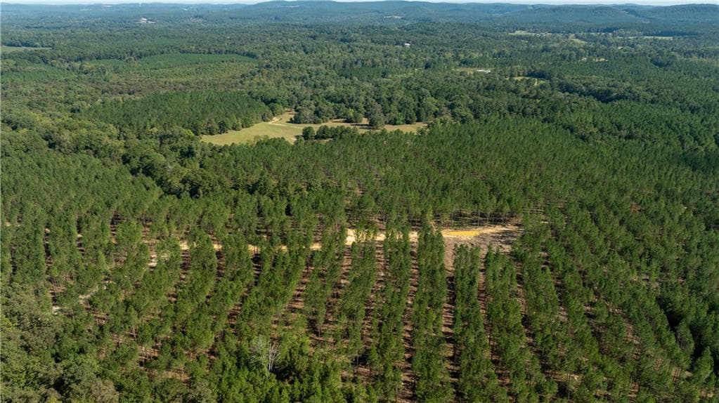unimproved land for sale at 0 Livingston Rd SW, Rome, GA 30161 — photo 4
