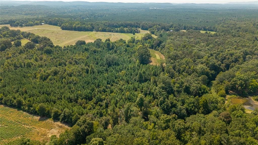 unimproved land for sale at 0 Livingston Road, Rome, GA 30161 — photo 4