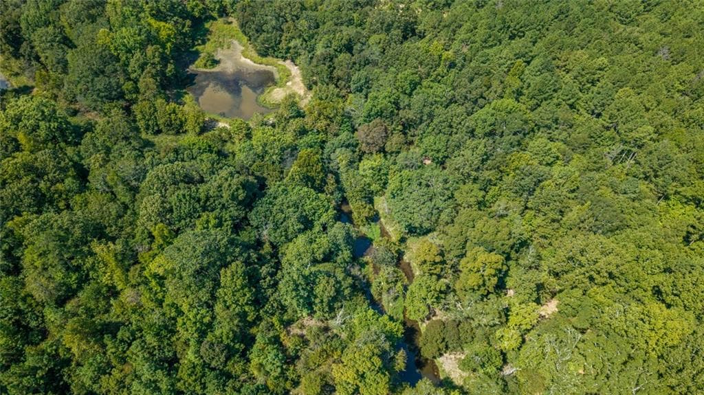 unimproved land for sale at 0 Livingston Road, Rome, GA 30161 — photo 5