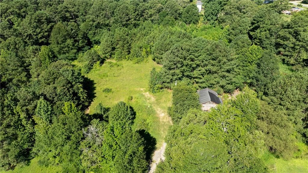 1 bedroom, 1 bathroom unimproved land for sale at 6266 Britt Road, Mableton, GA 30126 — photo 5