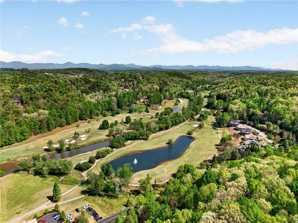 4 bedroom, 4 bathroom, 4,052 sq ft single family residence for sale at 14 High Trestle Court, Dahlonega, GA 30533 — photo 3