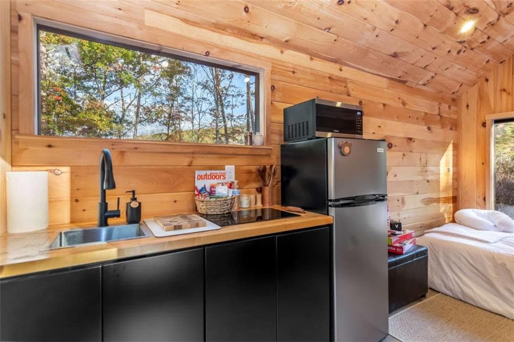 1 bedroom, 1 bathroom, 176 sq ft single family residence for sale at 115 Raleigh Ridge Drive, Blue Ridge, GA 30513 — photo 4