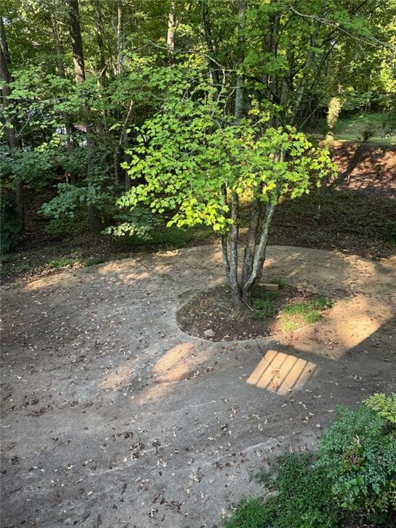 5 bedroom, 4 bathroom, 2,552 sq ft single family residence for sale at 300 Westwoods Drive, Ellijay, GA 30540 — photo 5