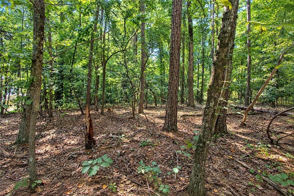 unimproved land for sale at 0 Buice Road, Johns Creek, GA 30022 — photo 2